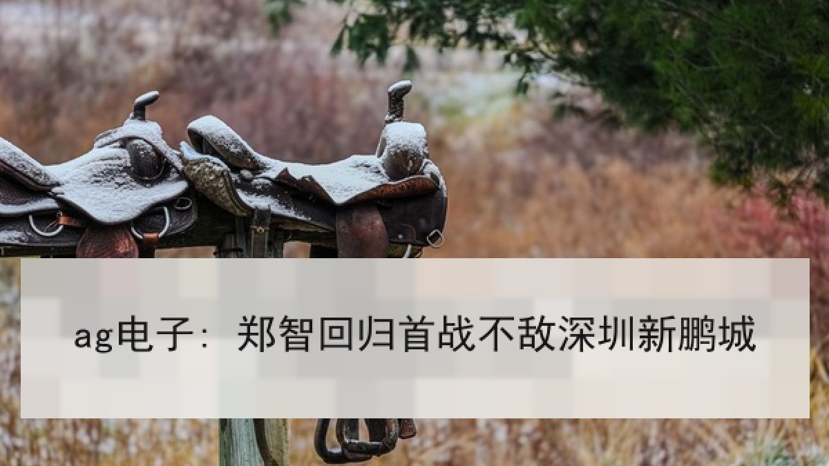 ag电子: 郑智回归首战不敌深圳新鹏城 ag电子: 郑智回归首战不敌深圳新鹏城